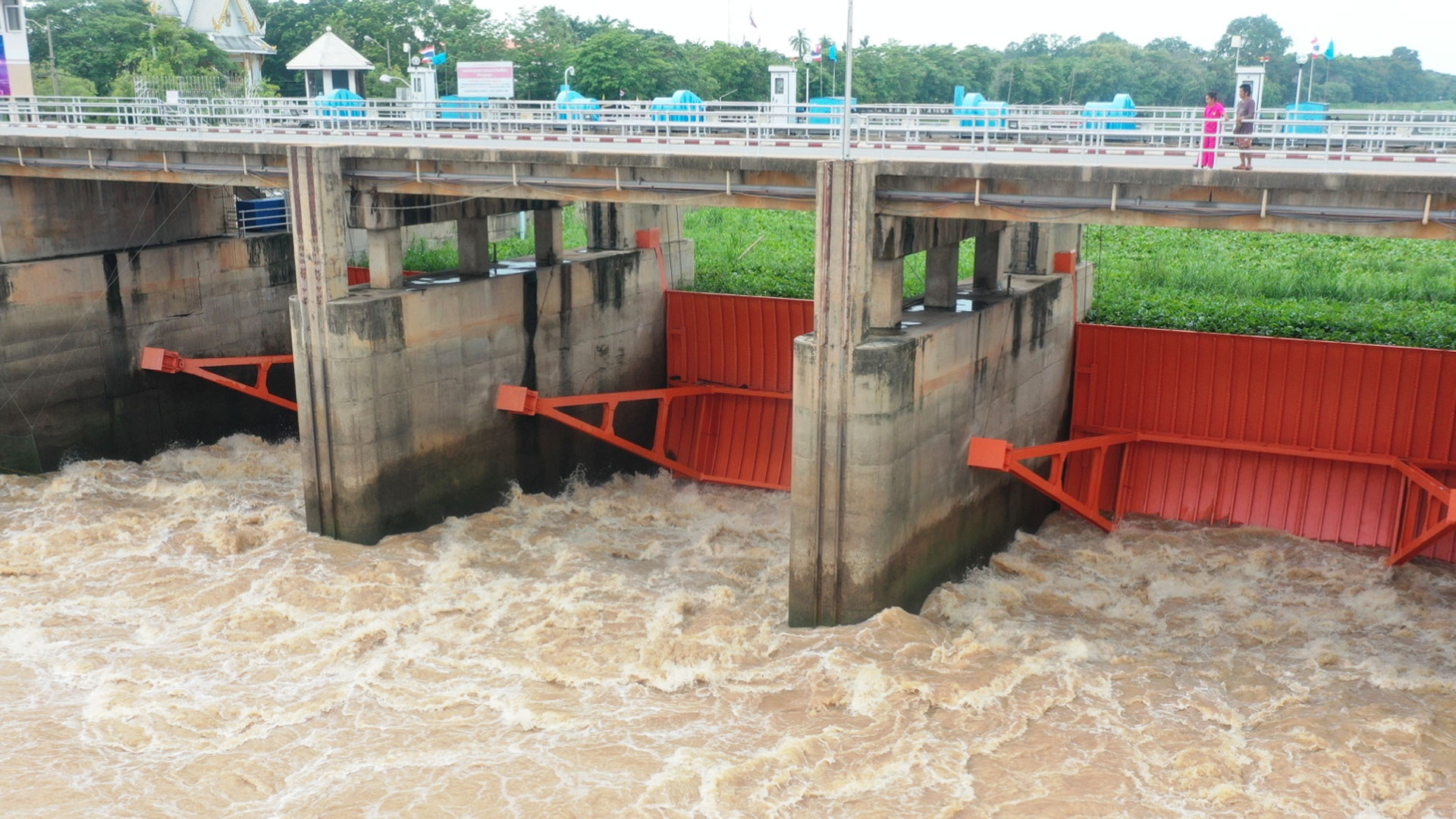 กรมชลฯ แจ้ง 11 จว. ระดับน้ำเจ้าพระยาเพิ่มสูงขึ้น เหตุน้ำเหนือยังมาก 1 กรมชล2 1