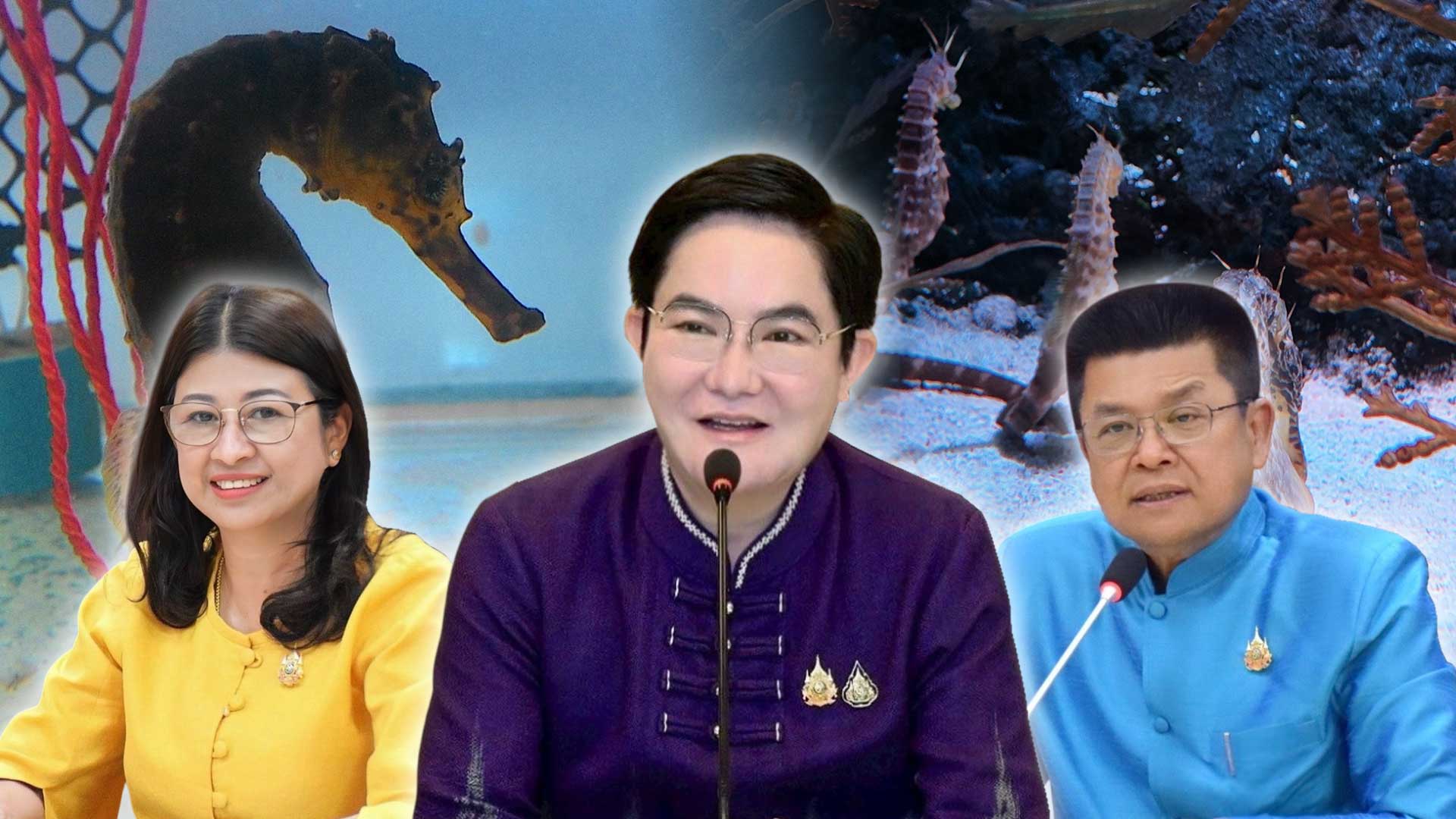 กรมประมงจับมือภาคเอกชน3