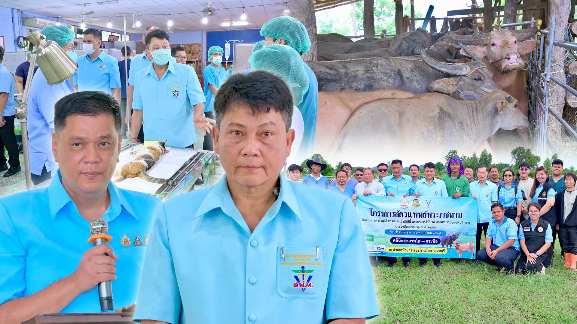 กรมปศุสัตว์ออกหน่วยให้บริการโครงการสัตวแพทย์พระราชทานฯ ในพื้นที่จังหวัดกาญจนบุรี 1 กรมปศุสัตว์ ออกหน่วยให้บริการ3 1