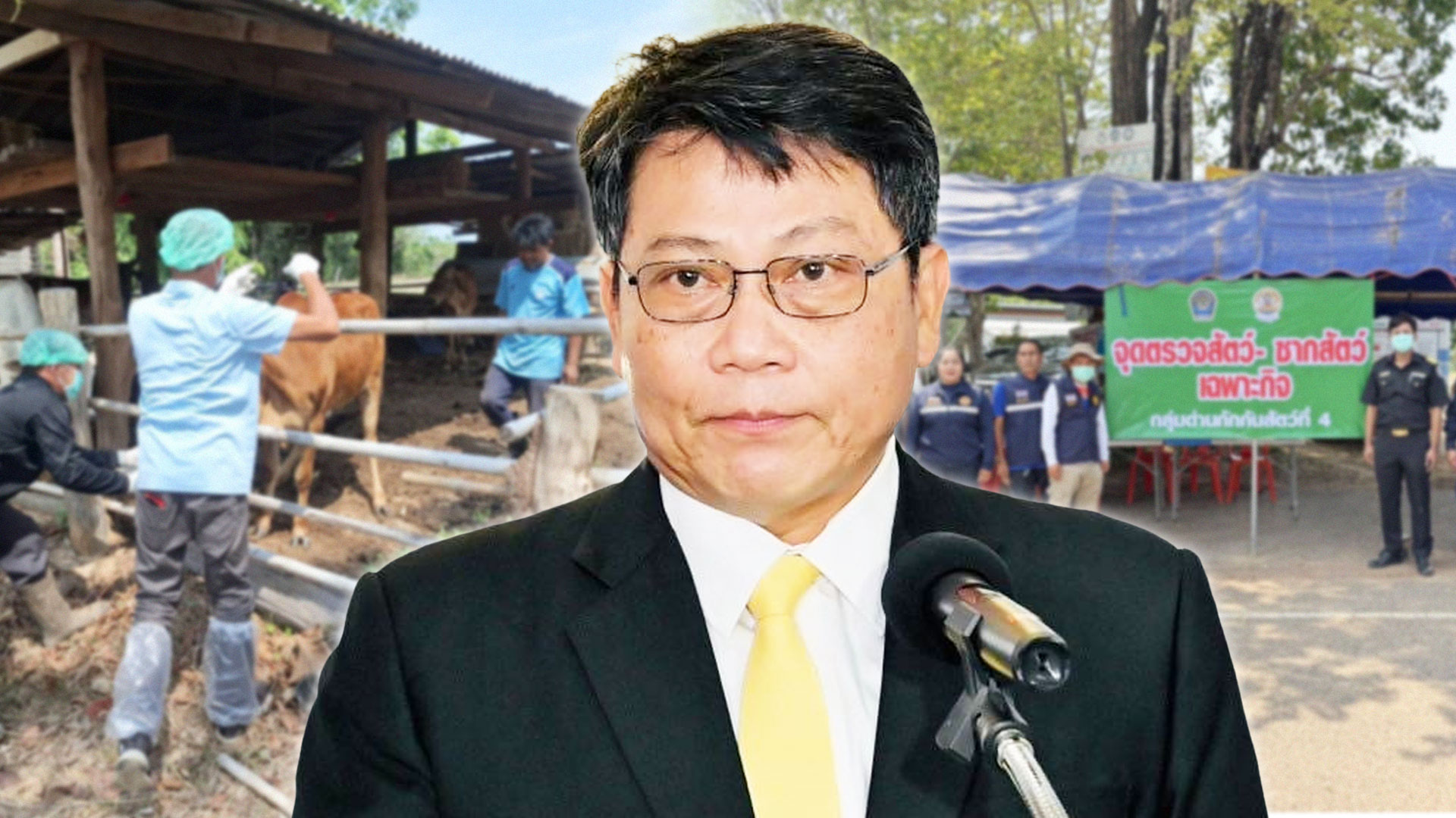 กรมปศุสัตว์เตือนเกษตรกร2