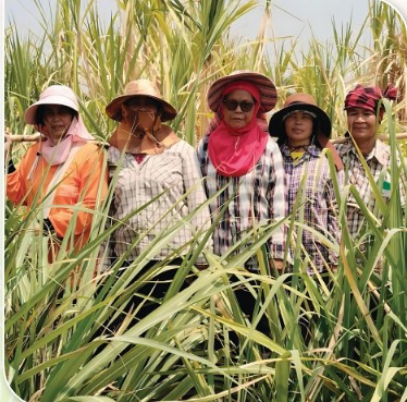 กล 1