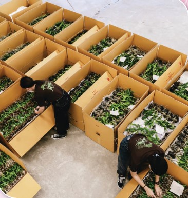 ปราชญ์เกษตรดีเด่น ประจำปี2568 คนสอง 20