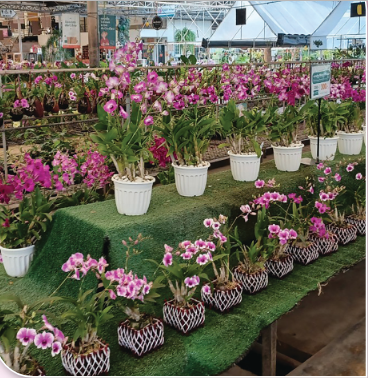 ปราชญ์เกษตรดีเด่น ประจำปี2568 คนสอง 8