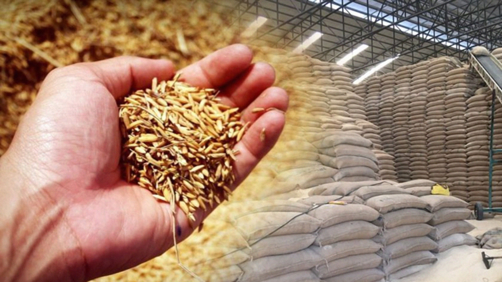 ครม. อนุมัติร่างกฎกระทรวง “ลดค่าธรรมเนียมผู้ค้าข้าว” หนุนส่งออกข้าวทั่วโลก 1 ครม2