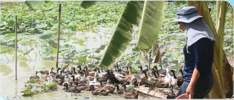 เกษตรกรดีเด่นแห่งชาติ ประจำปี 2568 งงง