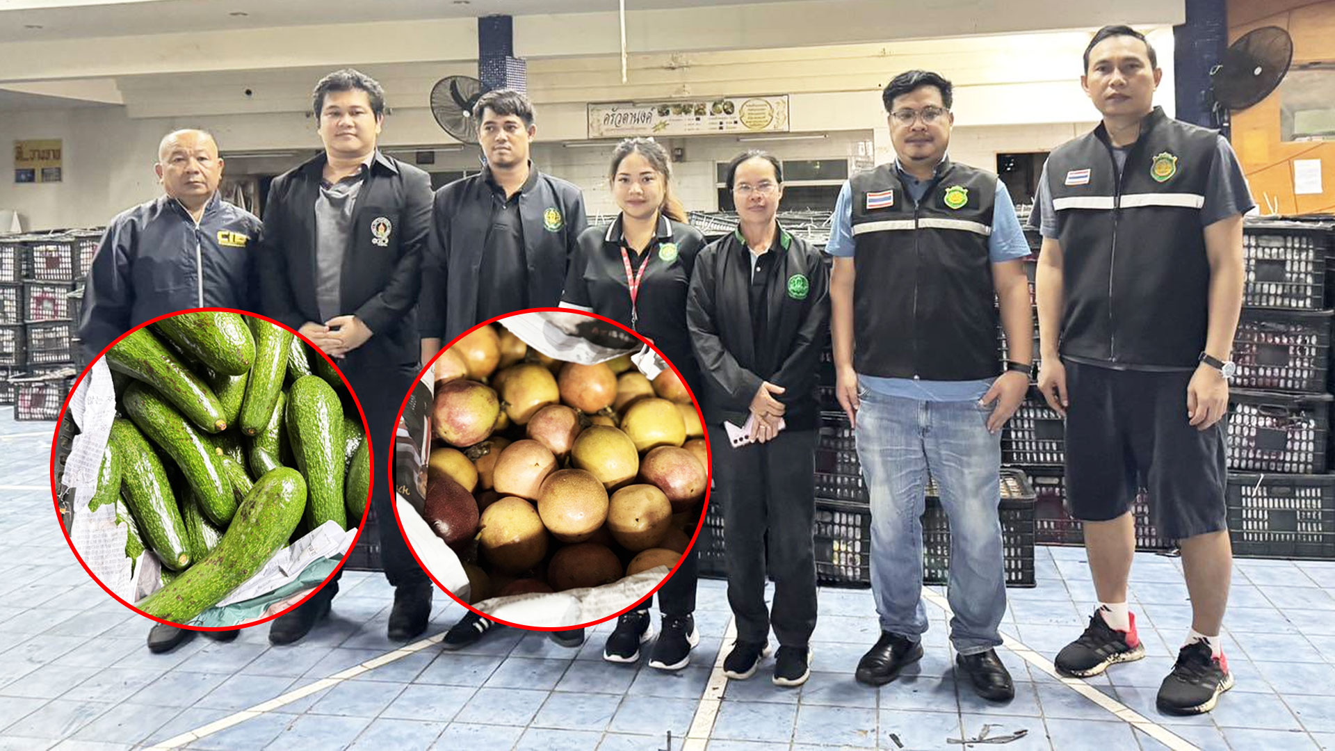 จับอโวคาโดและเสาวรสสดเถื่อน2