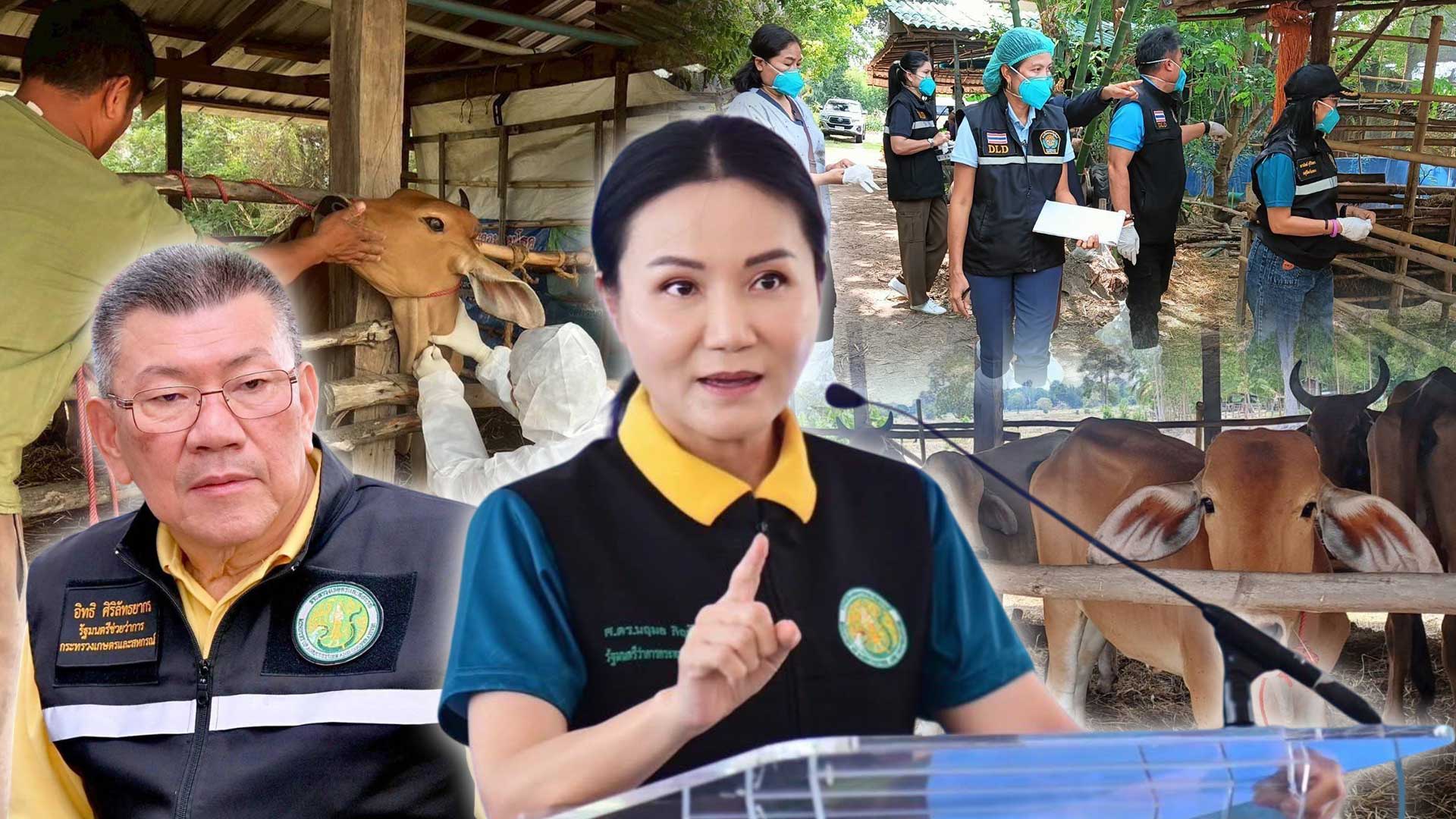 นฤมลสั่งกรมปศุสัตว์เข้ม3