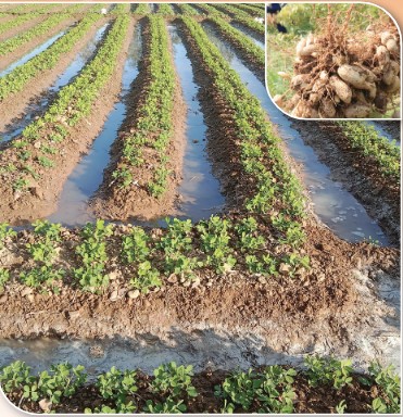 สถาบันเกษตรกรดีเด่นแห่งชาติ กลุ่มแม่บ้านเกษตรกร ปี 2568 บ้าน 3