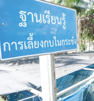 ปร 10