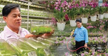 ปราชญ์เกษตรดีเด่น3