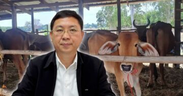 ปศุสัตว์ ยันไม่พบสัตว์ป่วย3