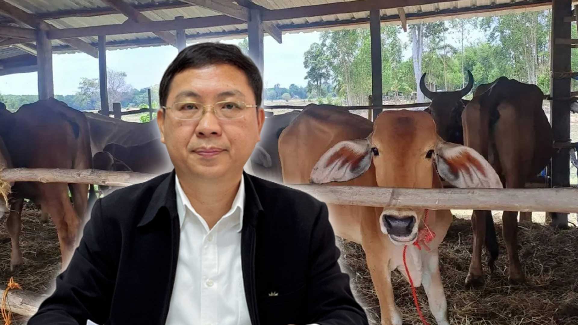 ปศุสัตว์ ยันไม่พบสัตว์ป่วย3