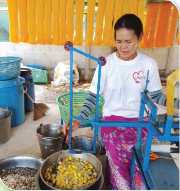ผล