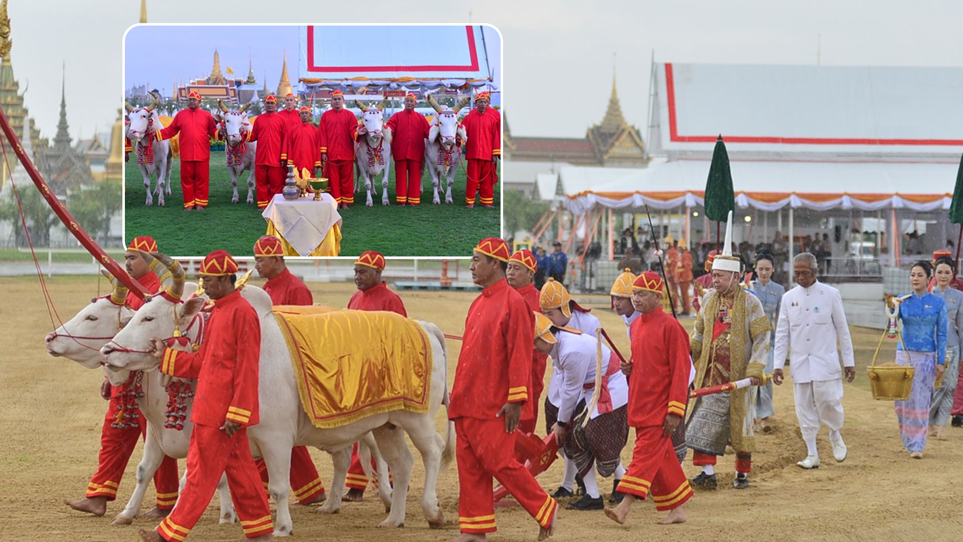 พระโคแรกนาขวัญ2