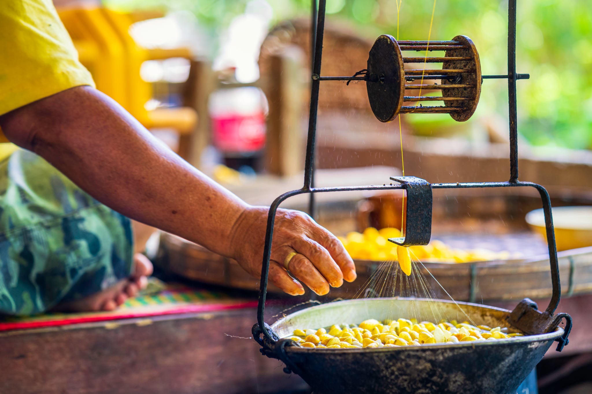 กรมหม่อนไหมเตรียมจัดงานประกวดเส้นไหมระดับประเทศ ประจำปี 2568 3 ภาพกม2