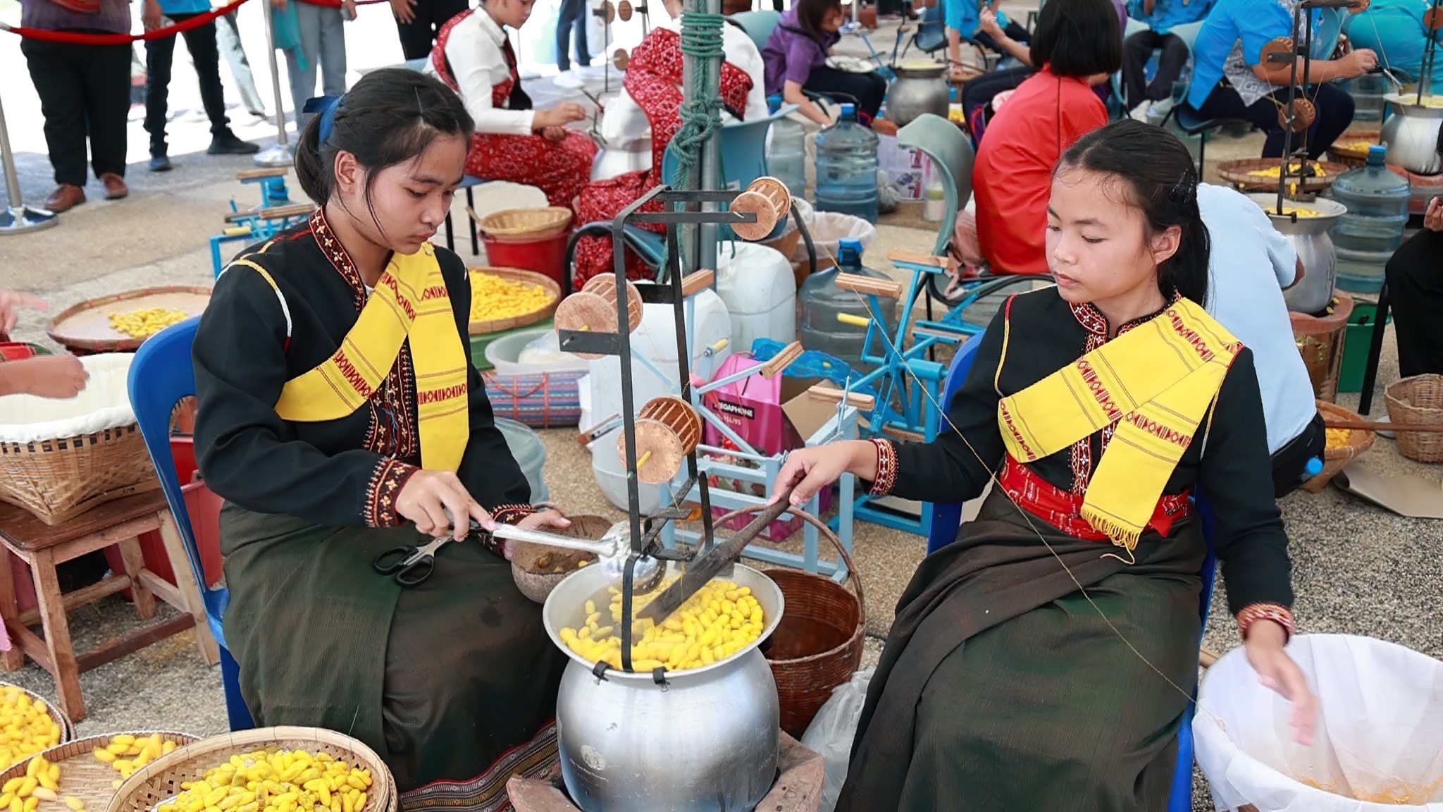 กรมหม่อนไหมเตรียมจัดงานประกวดเส้นไหมระดับประเทศ ประจำปี 2568 6 ภาพกม6