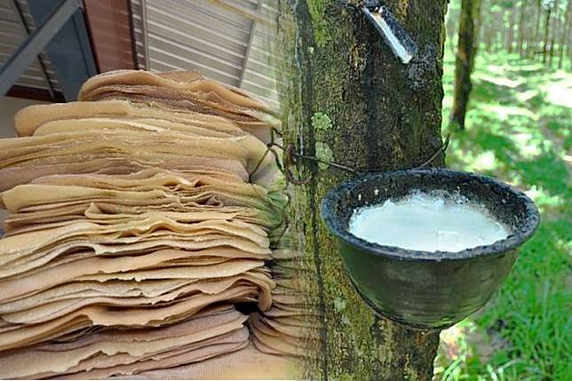 ภาพสศก6