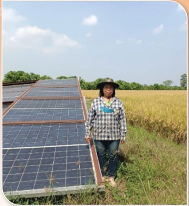 สถาบันเกษตรกรดีเด่นแห่งชาติ วว 3