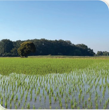 สถาบันเกษตรกรดีเด่นแห่งชาติ วส