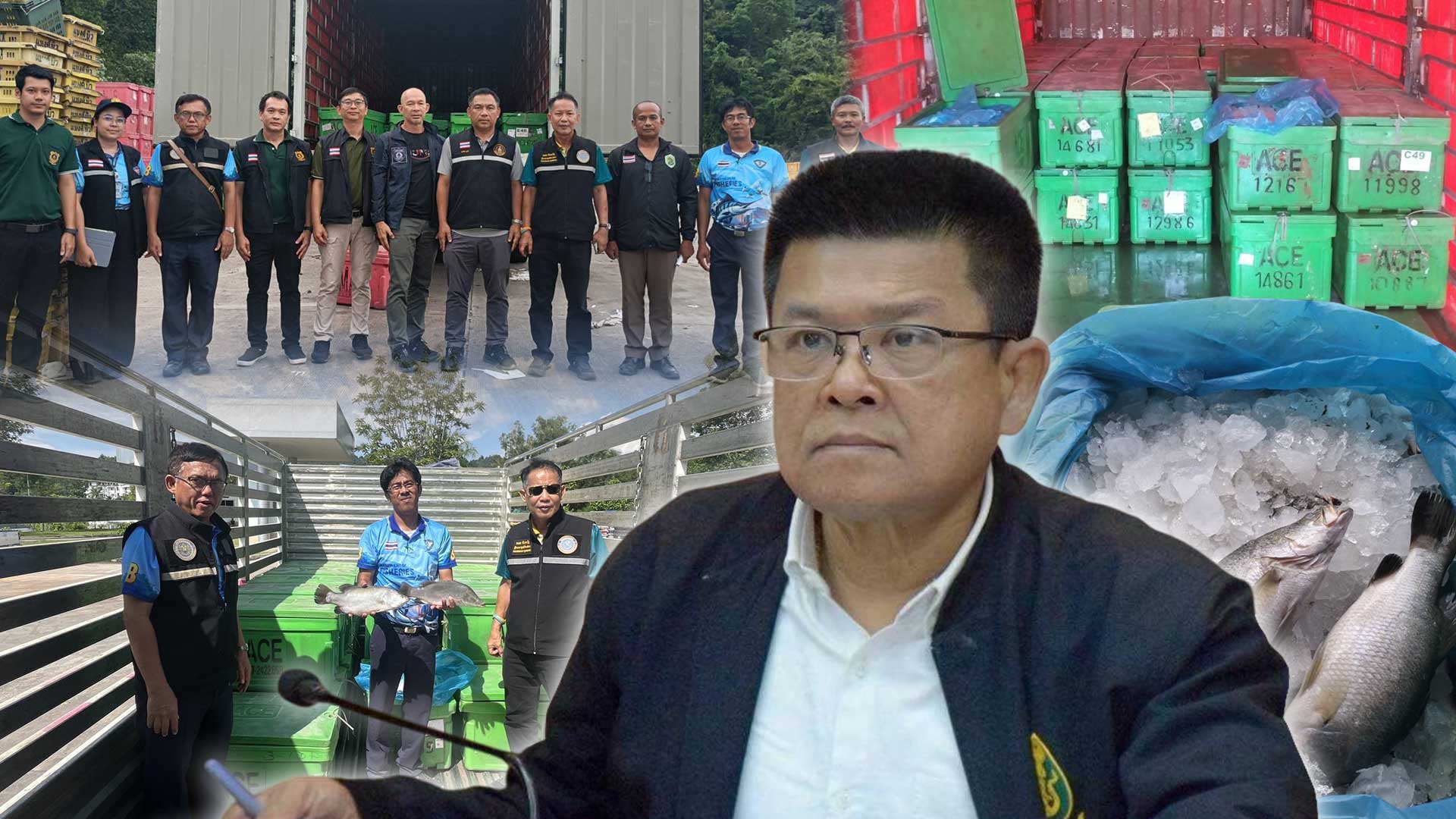 สกัดจับผู้ลักลอบนำเข้าปลากะพงขาว3