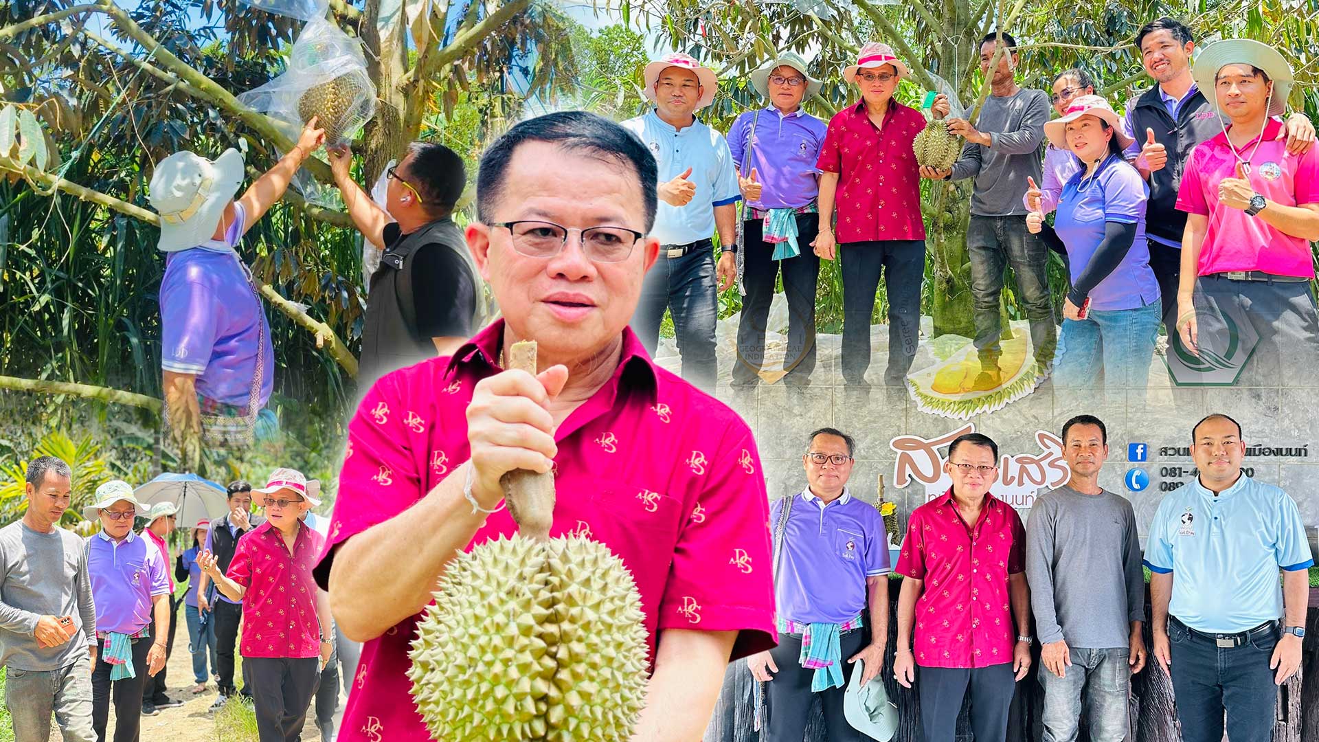 สวนเสรี3