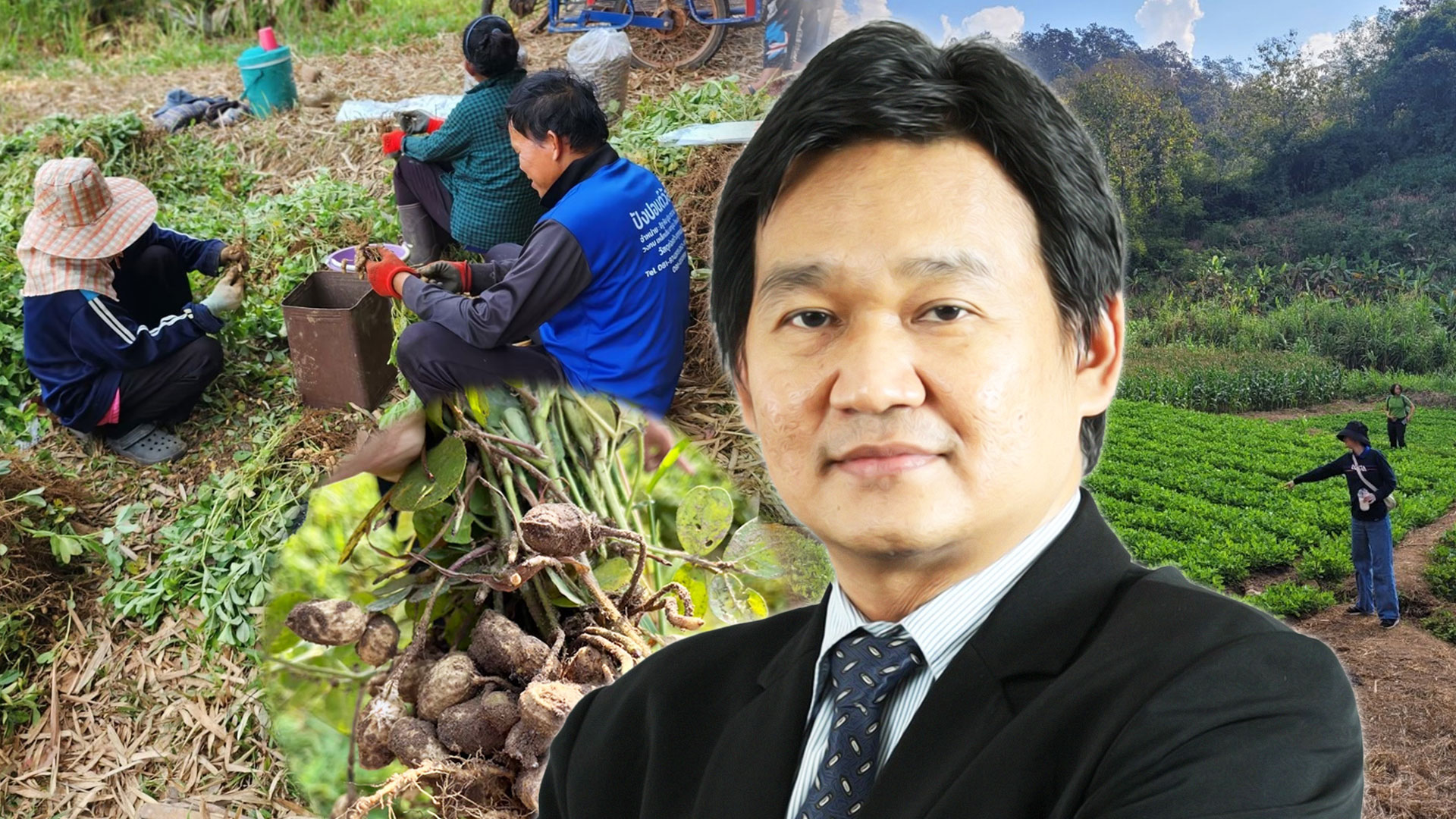 สศก. เผยผลศึกษาปัจจัยทางเศรษฐกิจต่อการตัดสินใจปลูกถั่วลิสง หนุนเกษตรกรที่มีพื้นที่เพาะปลูกนอกเขตชลประทาน หันปลูกถั่วลิสงเพิ่มรายได้ 1 สศก2 2