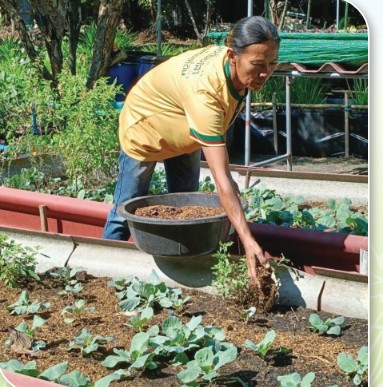 เกษตรกรดีเด่นแห่งชาติ ประจำปี 2568 สาขาการพัฒนาที่ดินเพื่อเกษตรกรรม สส 1