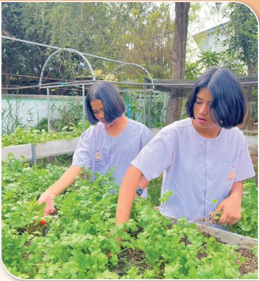 สถาบันเกษตรกรดีเด่นแห่งชาติ กลุ่มยุวเกษตรกร ประจำปี 2568 สสสส 1