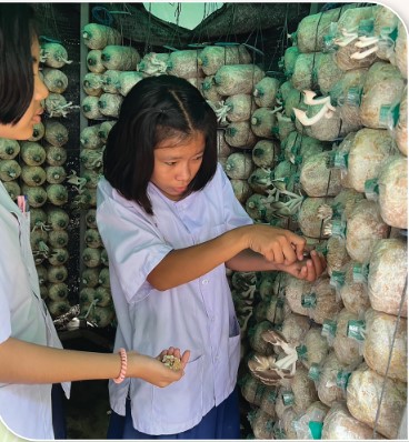 สถาบันเกษตรกรดีเด่นแห่งชาติ กลุ่มยุวเกษตรกร ประจำปี 2568 เกษตร 9