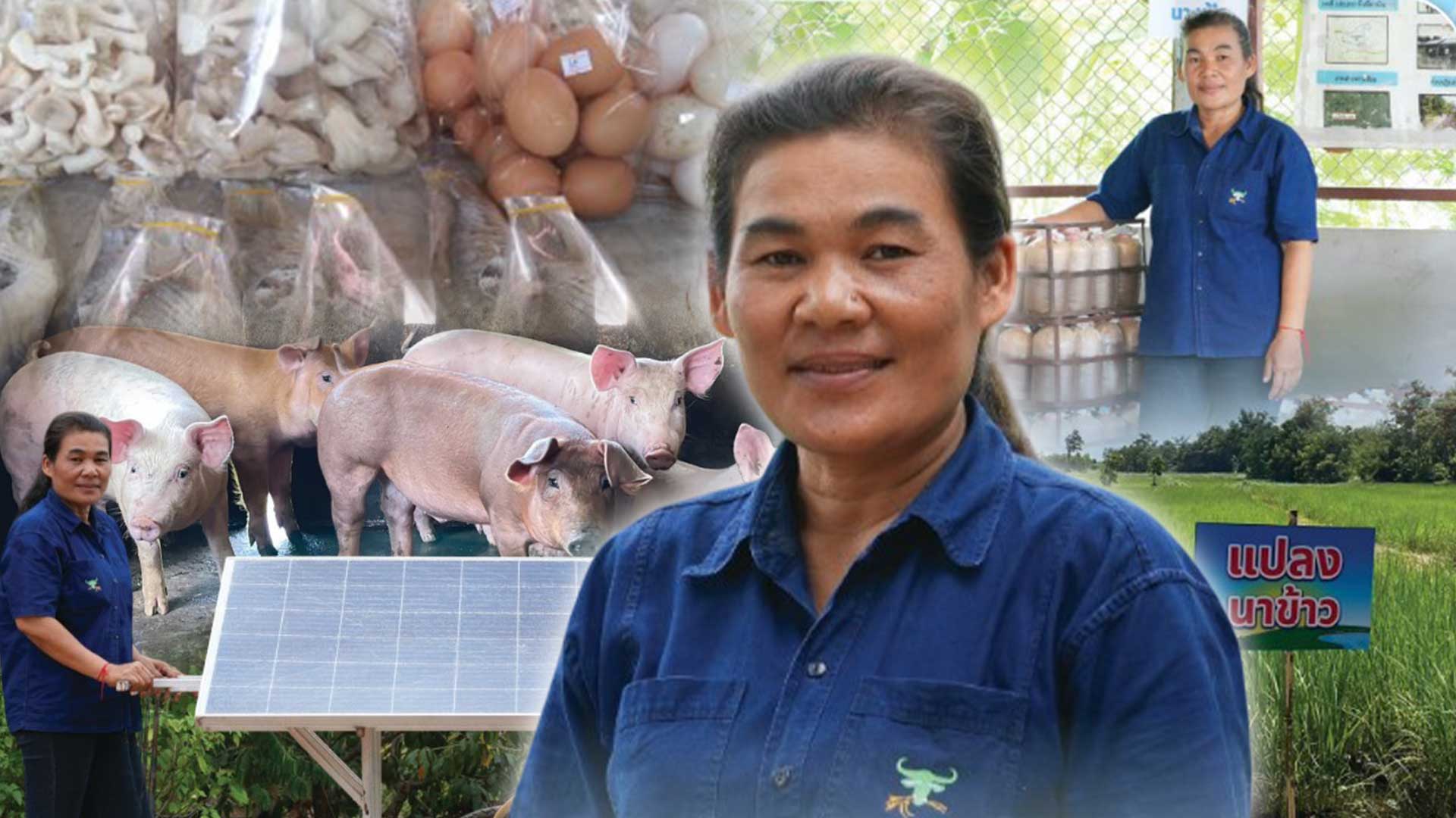 เกษตรกรดีเด่นแห่งชาติ ประจำปี 2568 เกษตรกรดีเด่นแห่งชาติ รุ่งลาวัลย์3