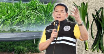 เตยหอมปทุม3