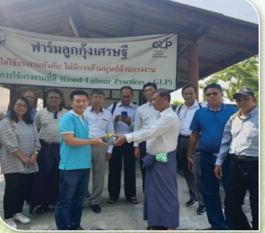 เกษตรกรดีเด่นแห่งชาติ ประจำปี 2568 เหลือง 26