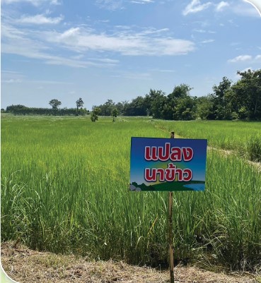 เกษตรกรดีเด่นแห่งชาติ ประจำปี 2568 แปลง