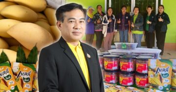 แปลงใหญ่วิสาหกิจชุมชน3