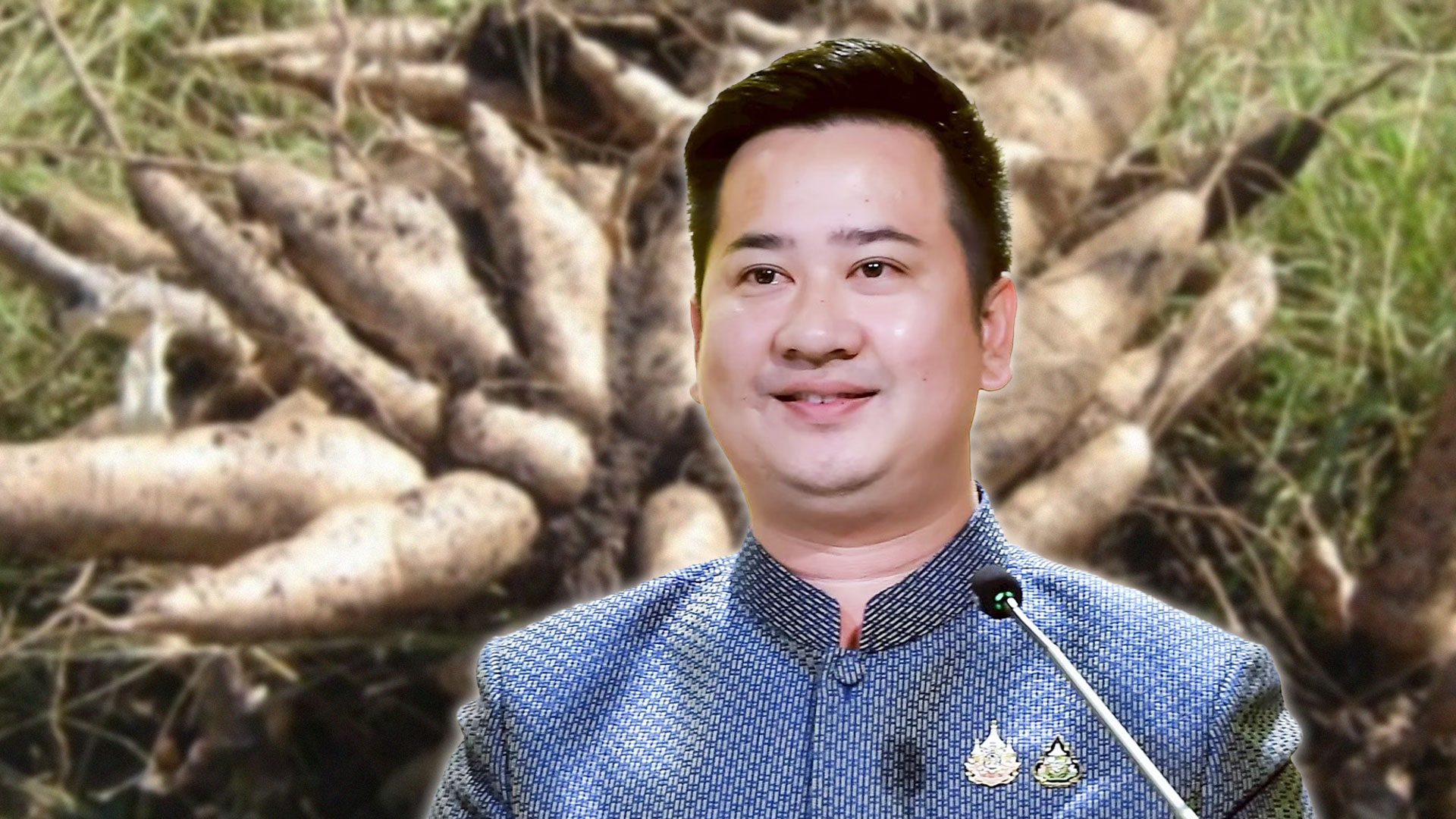 ไทยทำสำเร็จ2