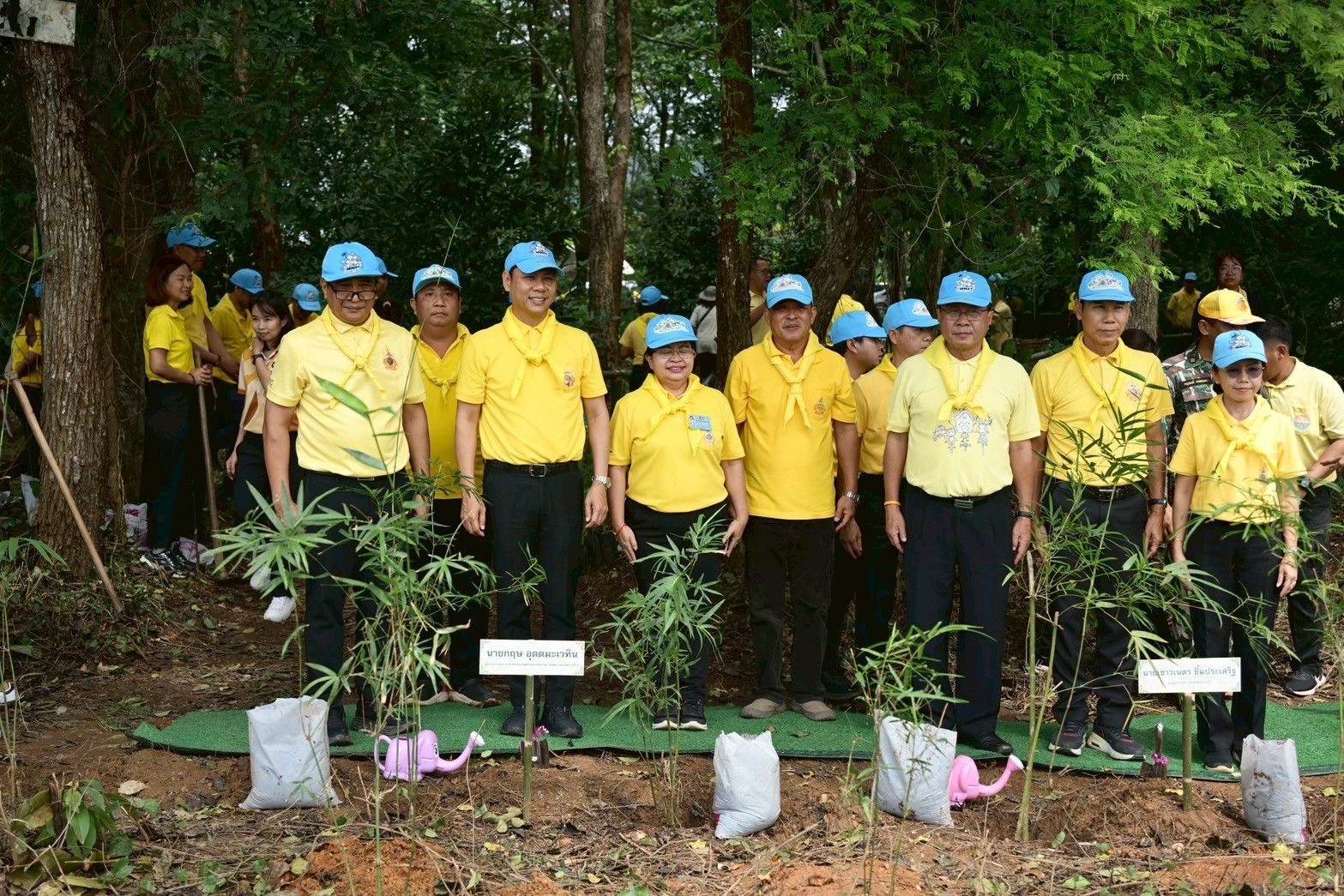 กระทรวงเกษตรและสหกรณ์ เปิดโครงการนำร่องการปลูกไผ่หนามเป็นรั้วธรรมชาติเสริมแนวคูกันช้าง เพื่อป้องกันช้างป่าบุกรุกเข้าพื้นที่ชุมชน พื้นที่การเกษตรในพื้นที่สระแก้ว เฉลิมพระเกียรติสมเด็จพระนางเจ้าฯ พระบรมราชินี 9 1059772