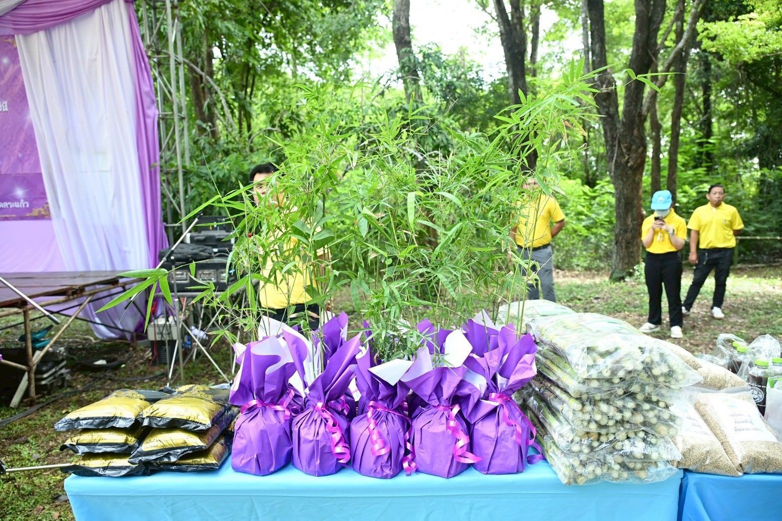 กระทรวงเกษตรและสหกรณ์ เปิดโครงการนำร่องการปลูกไผ่หนามเป็นรั้วธรรมชาติเสริมแนวคูกันช้าง เพื่อป้องกันช้างป่าบุกรุกเข้าพื้นที่ชุมชน พื้นที่การเกษตรในพื้นที่สระแก้ว เฉลิมพระเกียรติสมเด็จพระนางเจ้าฯ พระบรมราชินี 11 1059774