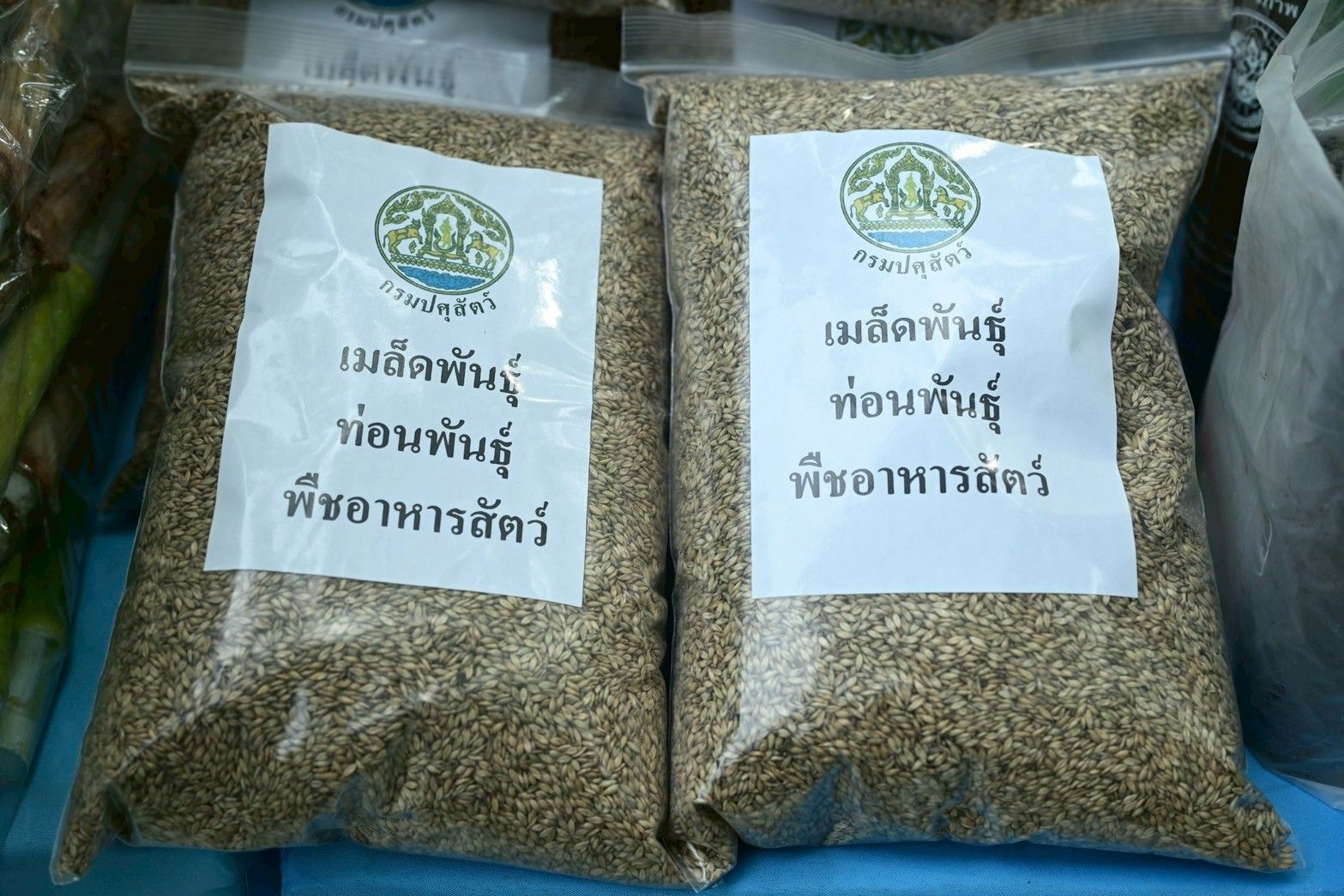 กระทรวงเกษตรและสหกรณ์ เปิดโครงการนำร่องการปลูกไผ่หนามเป็นรั้วธรรมชาติเสริมแนวคูกันช้าง เพื่อป้องกันช้างป่าบุกรุกเข้าพื้นที่ชุมชน พื้นที่การเกษตรในพื้นที่สระแก้ว เฉลิมพระเกียรติสมเด็จพระนางเจ้าฯ พระบรมราชินี 12 1059775