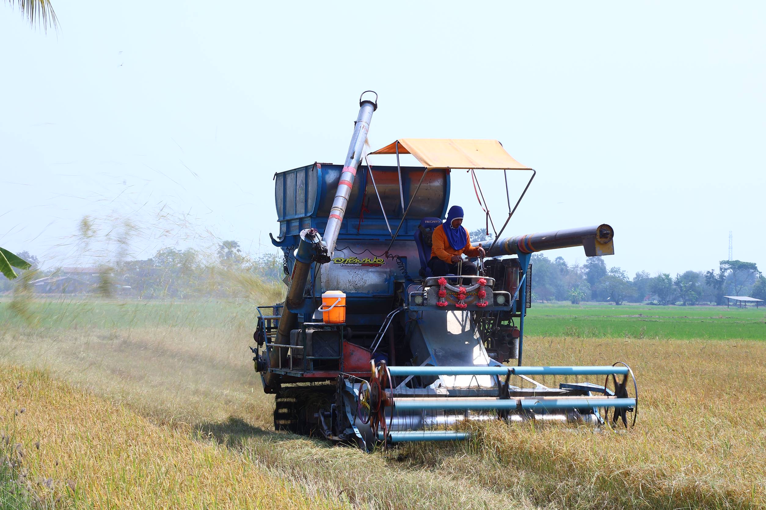 เริ่มต้นฤดูกาลผลิตใหม่ เพิ่มโอกาสทางธุรกิจ ชวนเกษตรกร-ผู้สนใจขึ้นทะเบียนผู้ให้บริการทางการเกษตร Agi Service Provider 4 1175346