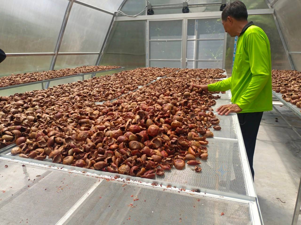 สศท.8 เผยผลศึกษาการเพิ่มมูลค่าวัสดุเหลือใช้จากมังคุด ตามแนวทาง BCG Model เพิ่มรายได้ให้เกษตรกร 6 120350 0