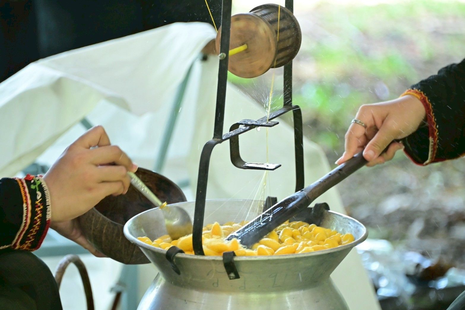 รมว.นฤมล สานงานต่อตามพระราชปณิธาน “พระพันปีหลวง” หนุนขยายอาชีพปลูกหม่อนเลี้ยงไหม ป้อนตลาดในประเทศ สร้างรายได้ให้เกษตรกร 11 1253169