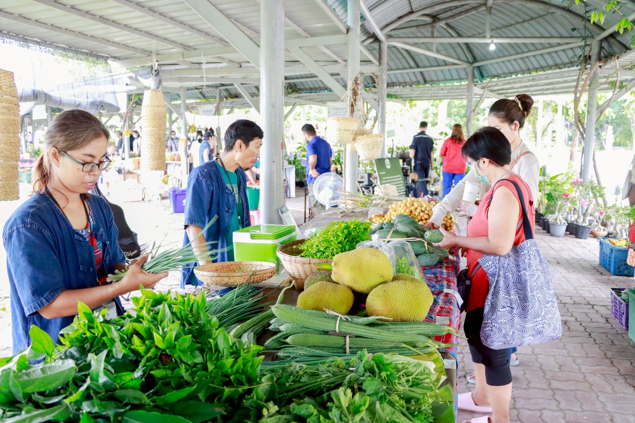 พิพิธภัณฑ์การเกษตรฯ ชวนเที่ยวงาน 13