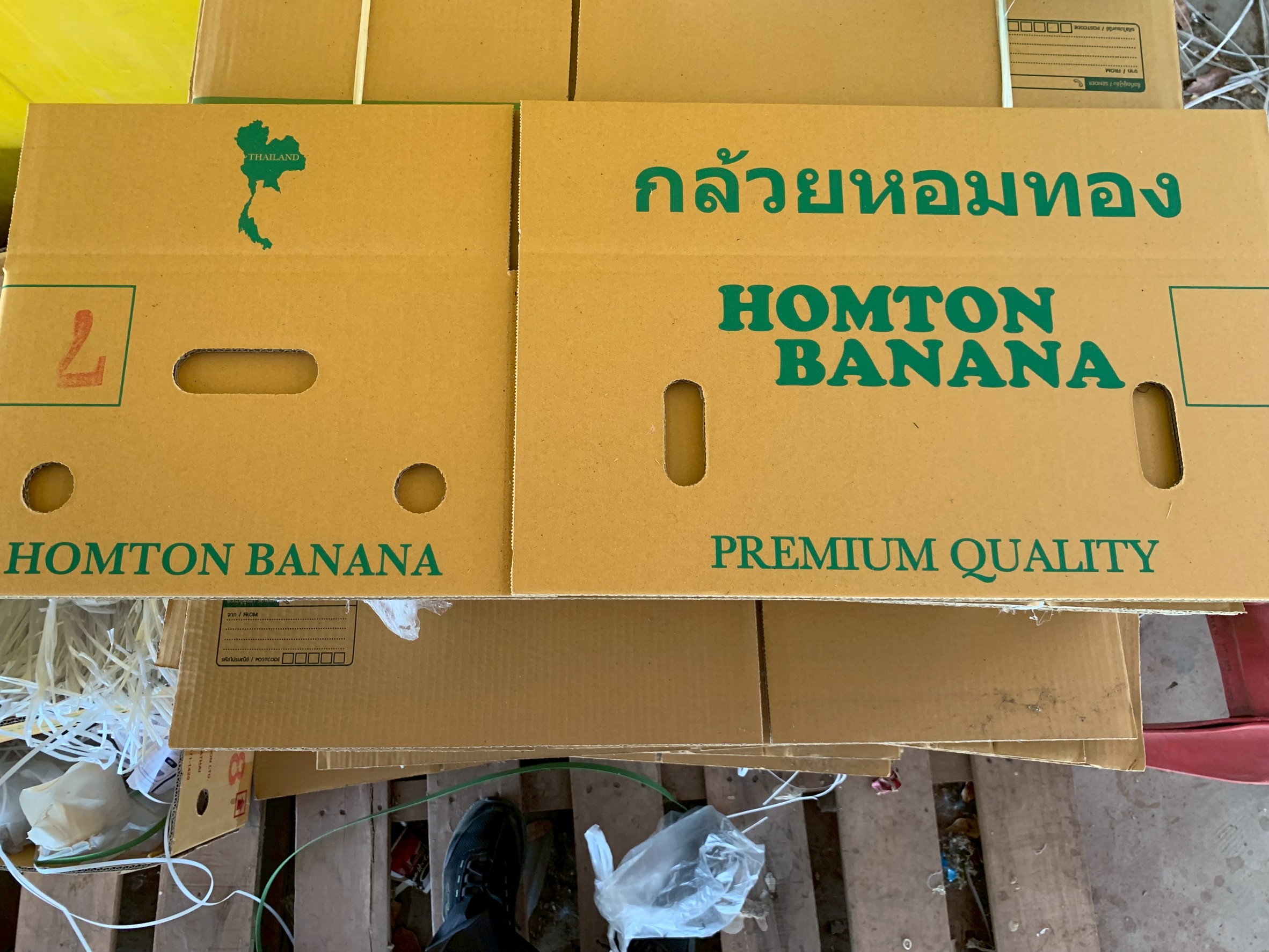 สศท.5 ชูผลสำเร็จ “กลุ่มปลูกกล้วยหอมทองเพื่อการส่งออกหนองบัวแดง” จ.ชัยภูมิ ผลิตกล้วยหอมทอง GI ส่งออก สร้างรายได้กลุ่มกว่าปีละ 36 ล้านบาท 5 154FFAB6 269D 4031 98C2 453294DC6FAE 0