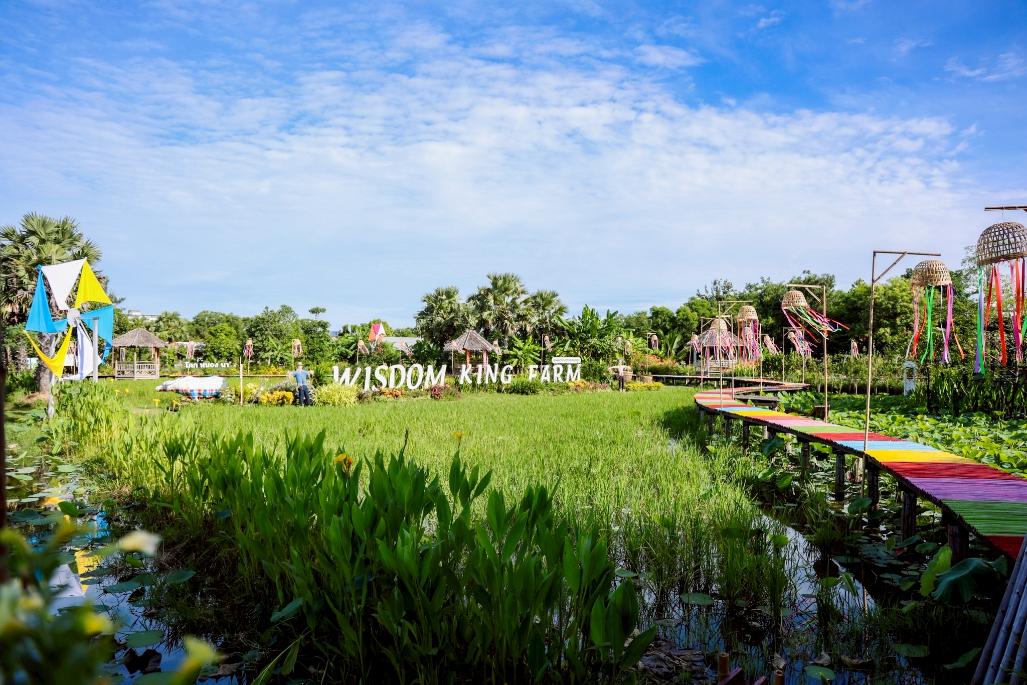 พิพิธภัณฑ์การเกษตรเฉลิมพระเกียรติฯ ร่วมกับสำนักงานวัฒนธรรมจังหวัด เปิดกิจกรรมในงาน “วัฒนธรรมวิถีเกษตรไทย 1 อำเภอ 1 ลานสร้างสรรค์” สืบสานวัฒนธรรมและวิถีเกษตรไทย 2 1660695