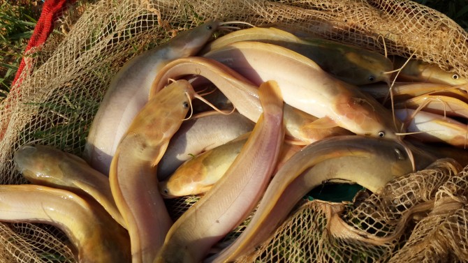 20171217 163022 670x377 1