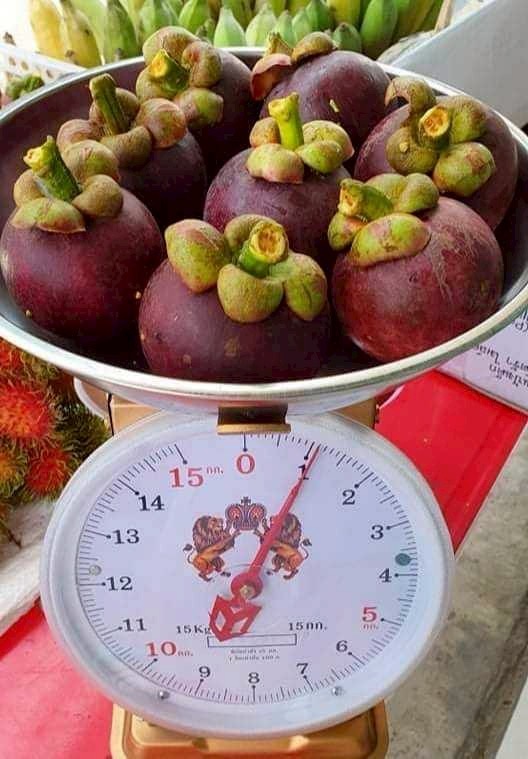 ขึ้นทะเบียน “มังคุดในสายหมอกเบตง” สินค้า GI รายการใหม่จังหวัดยะลา ผลกลมโต เนื้อสีขาวนวลปุยฝ้าย รสชาติหวานนำเปรี้ยว สร้างรายได้กว่า 62 ล้านบาท 3 202506105e24cf26ca771677dd430cbd6eff434e141828