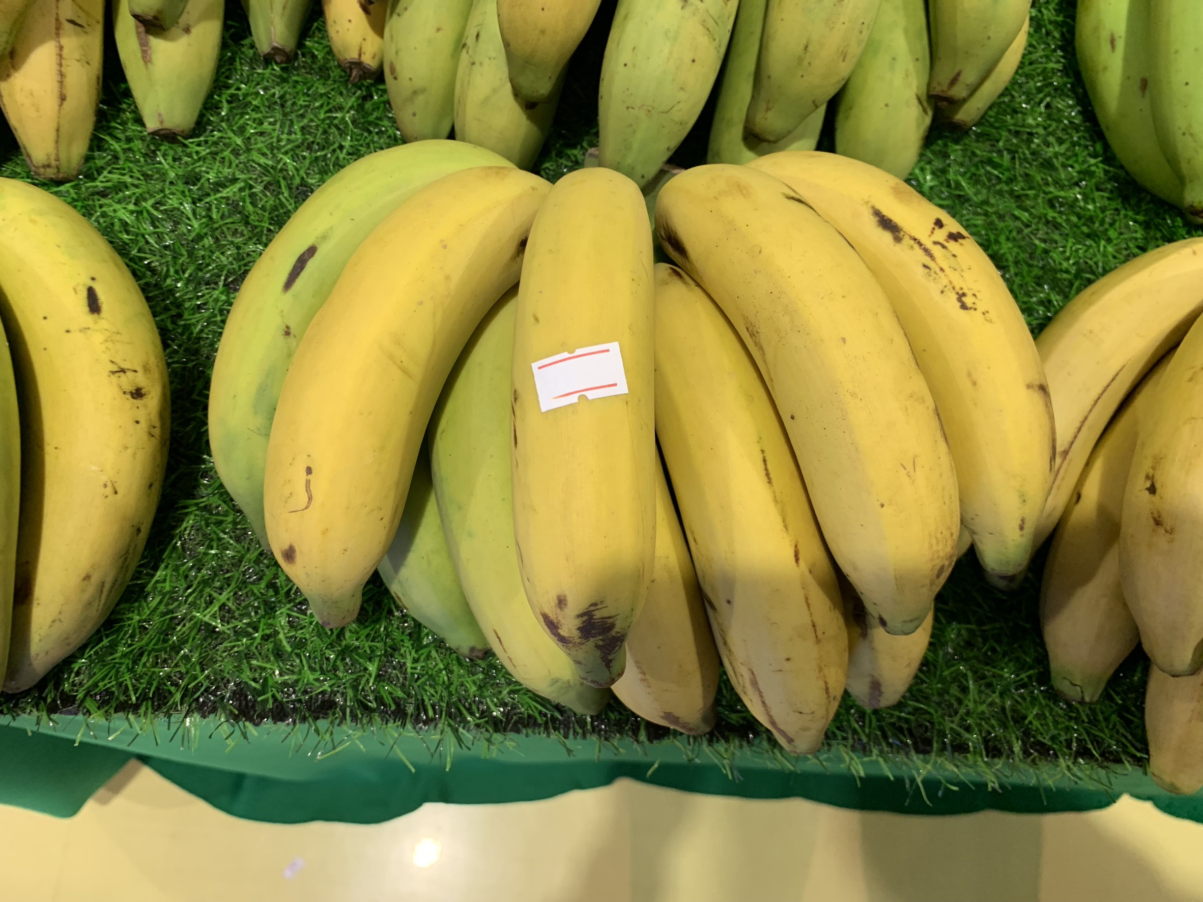 สศท.5 ชูผลสำเร็จ “กลุ่มปลูกกล้วยหอมทองเพื่อการส่งออกหนองบัวแดง” จ.ชัยภูมิ ผลิตกล้วยหอมทอง GI ส่งออก สร้างรายได้กลุ่มกว่าปีละ 36 ล้านบาท 4 21F5A6C1 3094 4CBA A596 A4159A98FEB0 0