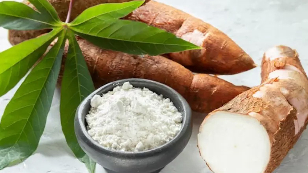 29 แป้งมันสำปะหลังคืออะไร และทำมาจากไหน