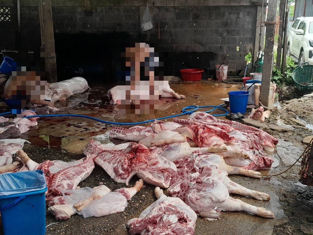 จับโรงเชือดเถื่อนกลางเมืองนครสวรรค์ ยึดซากสุกรกว่า 700 กก. 7 301057