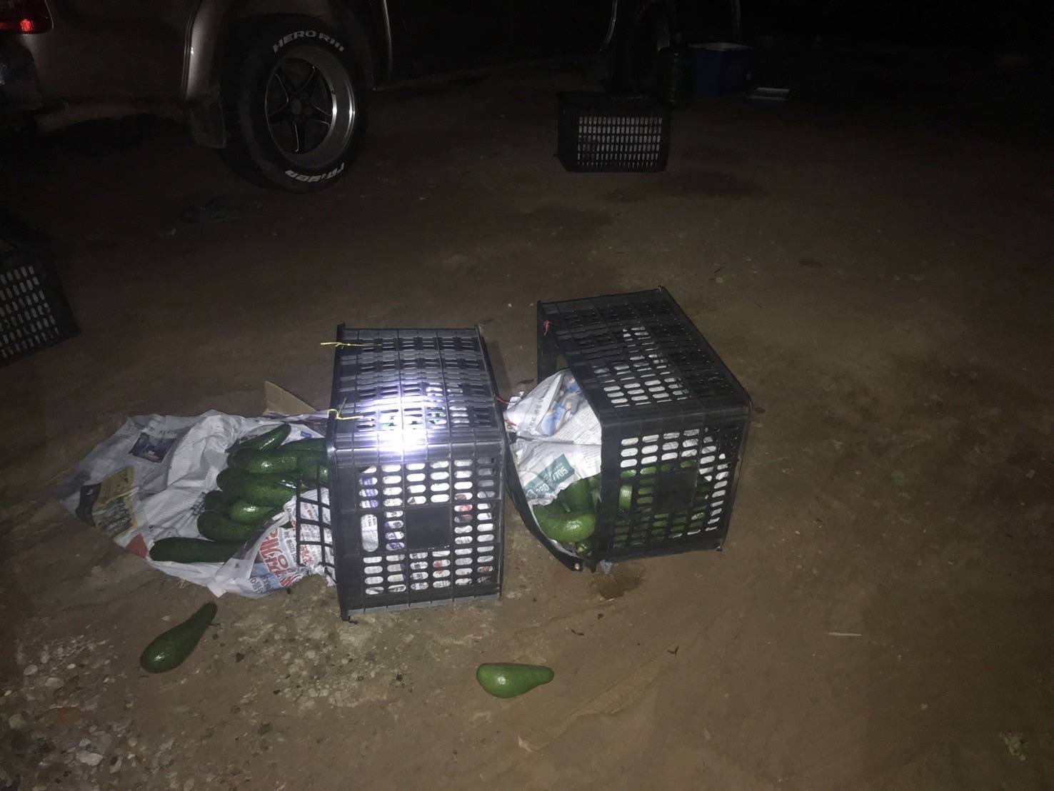 “ฉก.พญานาคราช” จับอะโวคาโดเถื่อนในจังหวัดมุกดาหาร 6 3466103